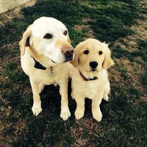 Meet your Posher, Joanne